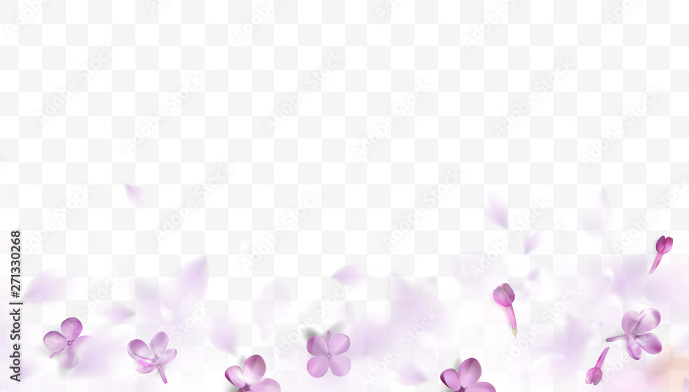 spring background with purple blurred flower petals
