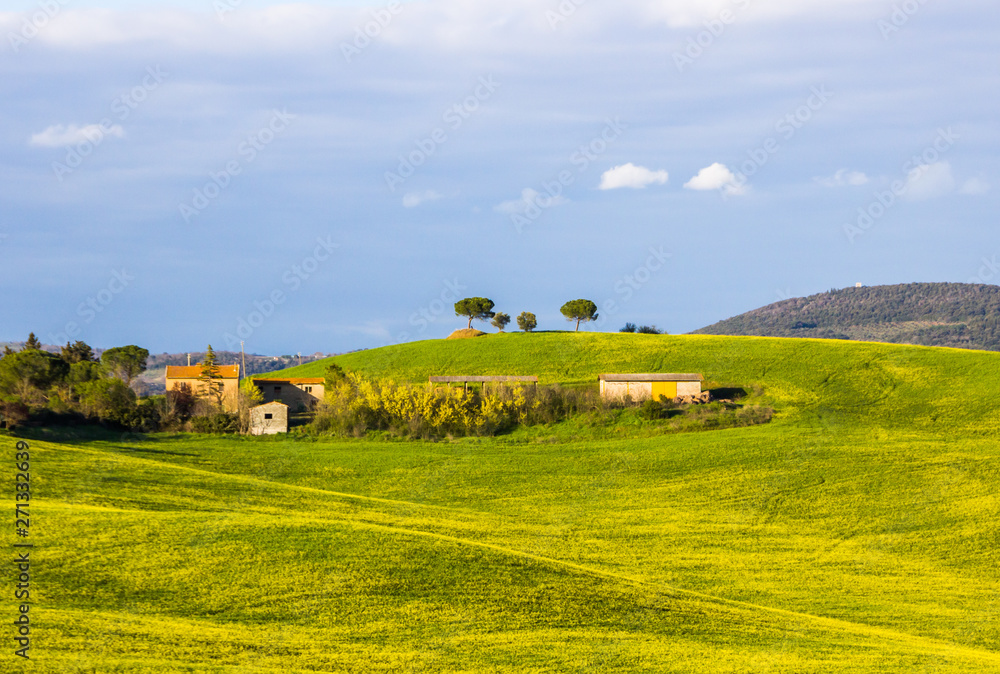 green fields and hills in Crete Senesi in Tuscany green fields and hills in Crete Senesi in Tuscany