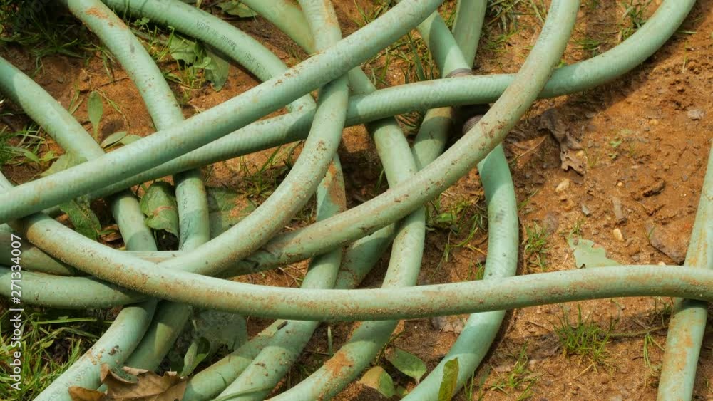 Close up tilt of green garden hose lying in dirt and grass