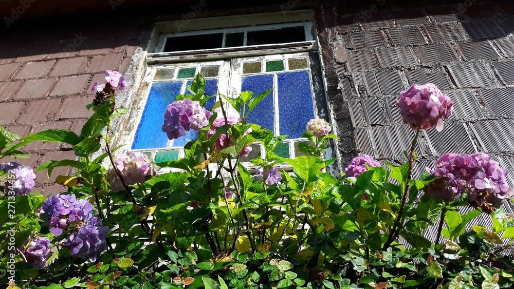 Fototapeta premium Janela