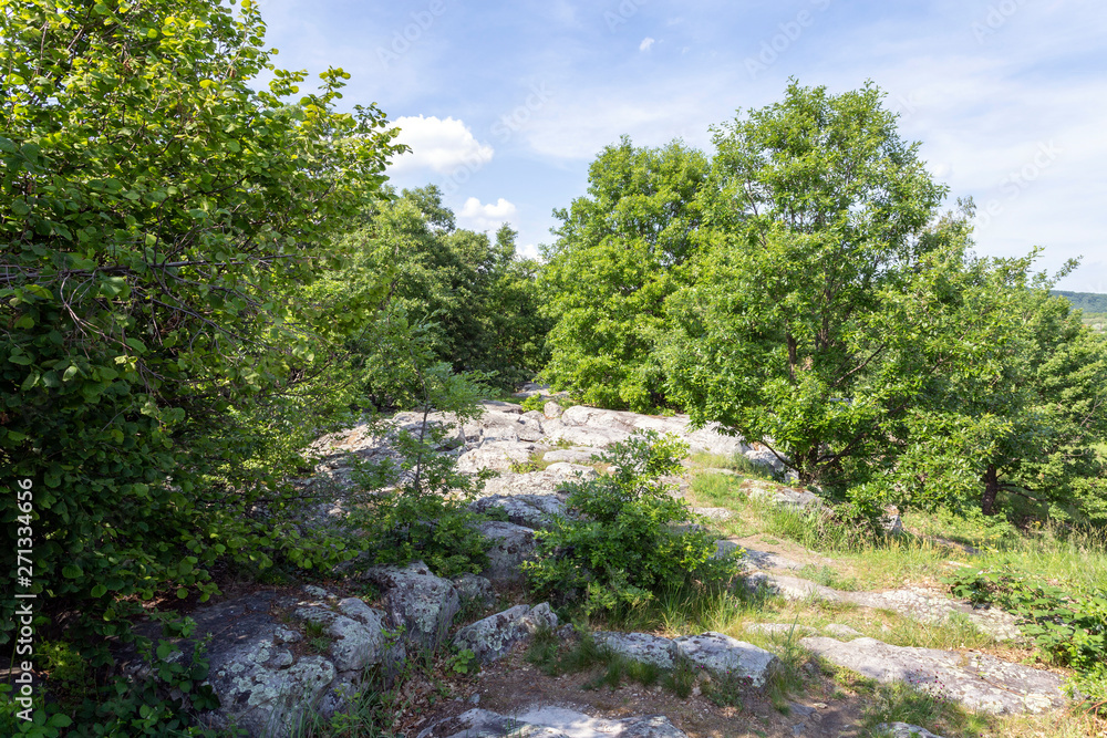Fototapeta premium Stone sea near Szentbekkalla