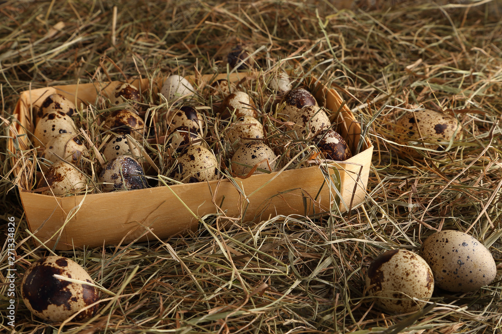 Quail eggs in a box, in a pile of hay. Quail eggs in a box, in a pile of hay.