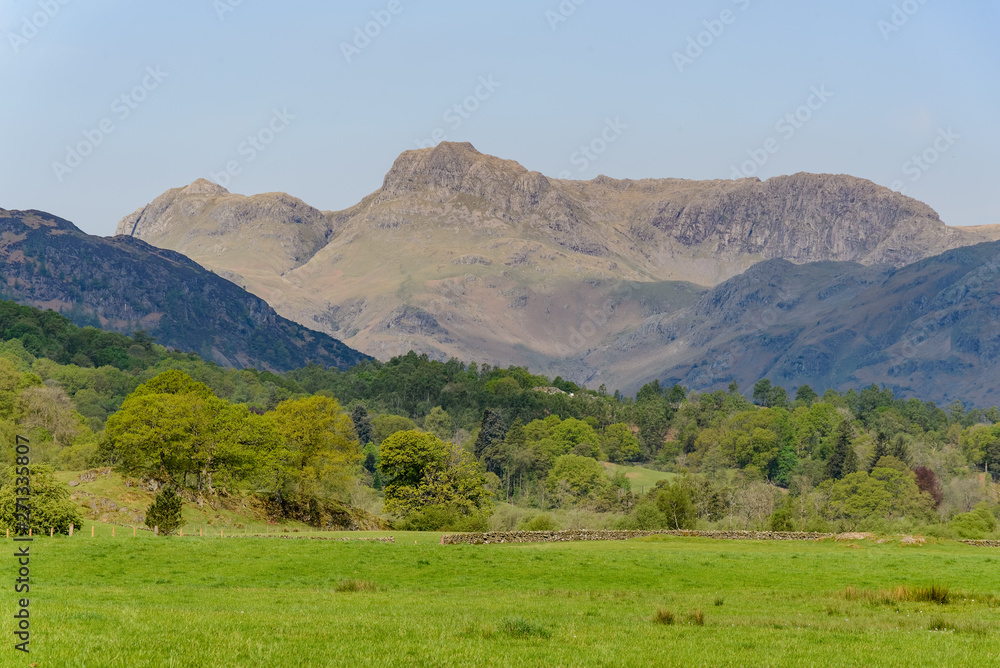 A sunlit rural scene with grass, trees, and mountains. The photo was taken in the English Lake District.