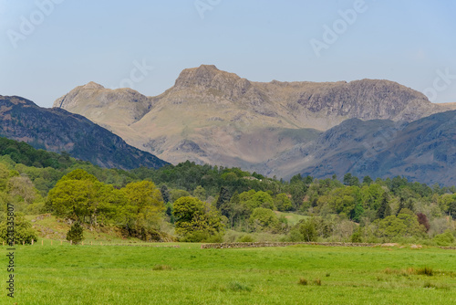 A sunlit rural scene with grass, trees, and mountains. The photo was taken in the English Lake District.