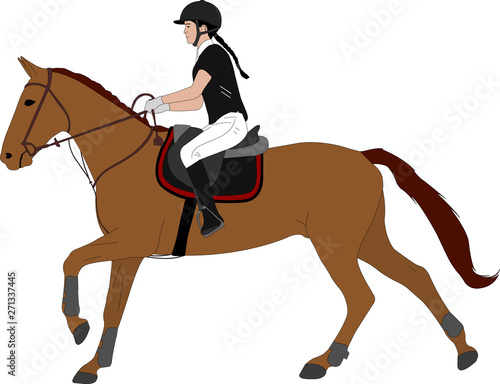 young woman riding horse color illustration. Equestrian sport. Equestrian dressage - vector