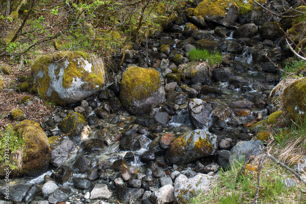 River rocks with moss River rocks with moss