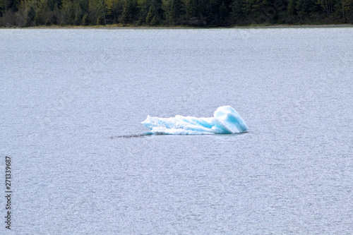 piece of ice floating otn the water photo