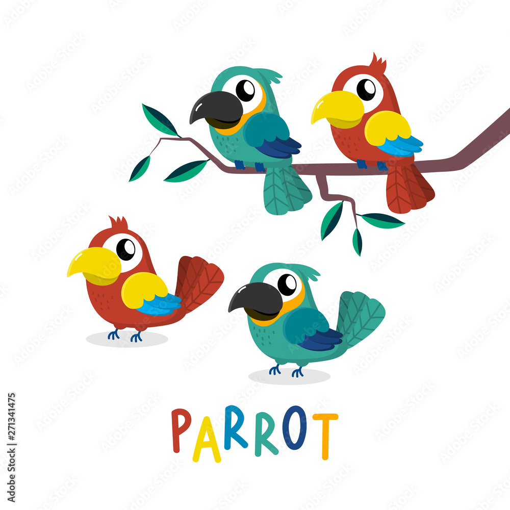 Cute parrot cartoon vector. Animal wildlife character. Colourful birds set. Cute parrot cartoon vector. Animal wildlife character. Colourful birds set.