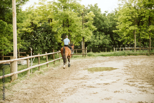  Rider rides his beautiful horse