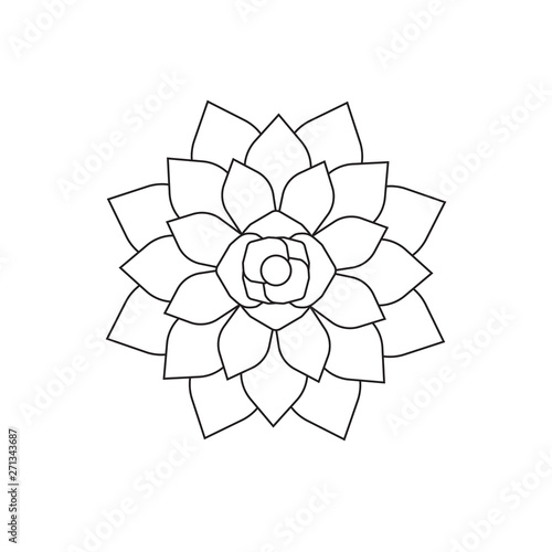Vector flat black line icon logo of succulent plant isolated on white background 