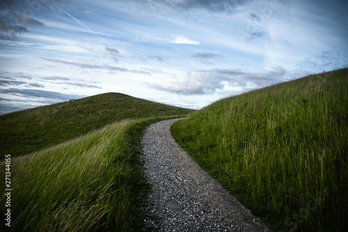 Follow the Path