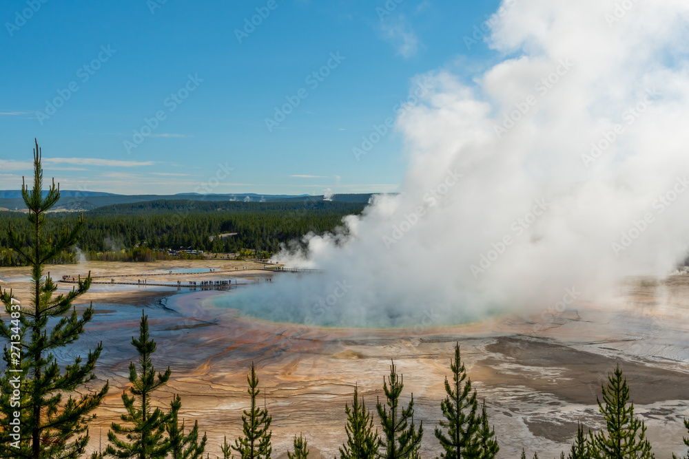 Thick Steam Rises Out of Grand Prismatic Spring