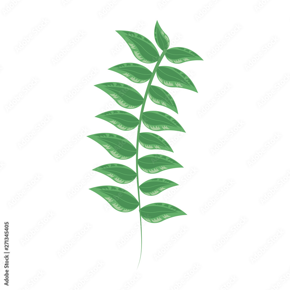 green branch leaves foliage