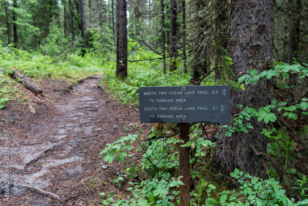 Trail Sign Along Muddy Trail in Tetons