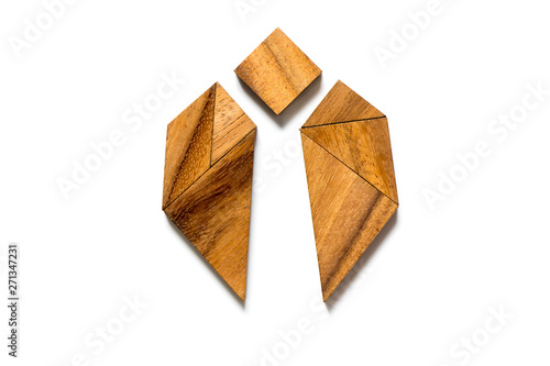 Wood tangram in bug or beetle shape on white background