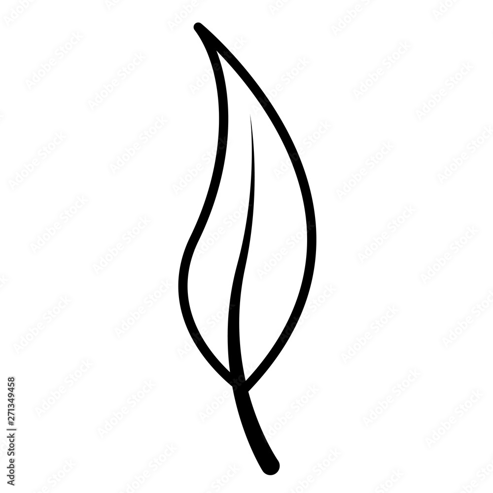 Obraz premium leaf botanical foliage icon linear