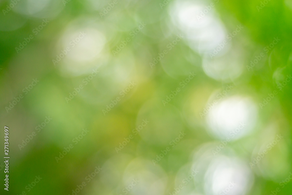 Obraz premium Green blurred background and sunlight,Element of design.