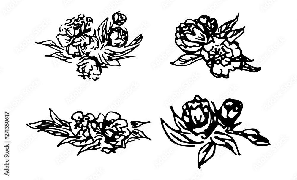 Abstract peonies and roses isolated on white background. Hand drawn floral collection. 4 floral graphic elements. Big vector set. Outline icons