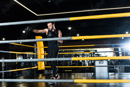 selective focus of handsome man exercising in boxing gloves while standing in boxing ring © LIGHTFIELD STUDIOS