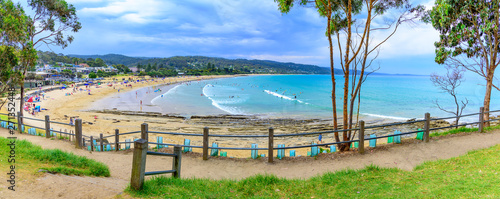 A wide panoramic view of the beach at Lorne, Victoria, Australia photo