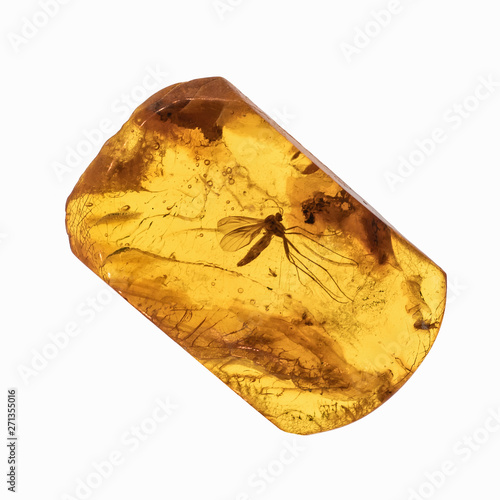 Carta da parati Piece of amber with insects inclusions
