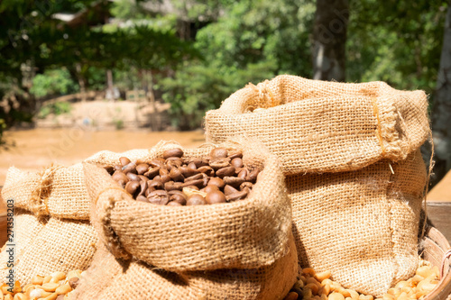 Coffee beans in small sacks. The background is brown river.