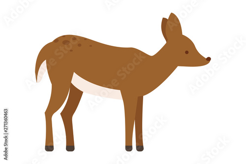 Cute Cartoon Animal