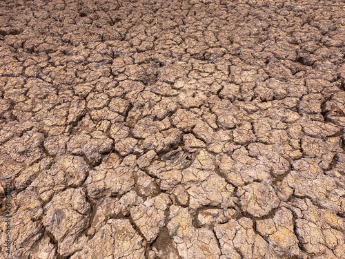 cracked earth on arid area