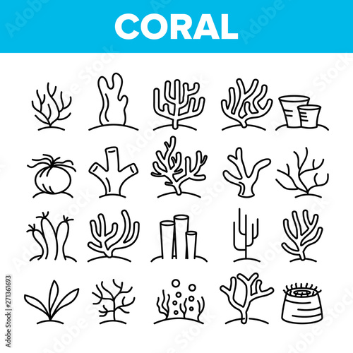 Obraz na płótnie Corals Reefs And Seaweed Vector Linear Icons Set