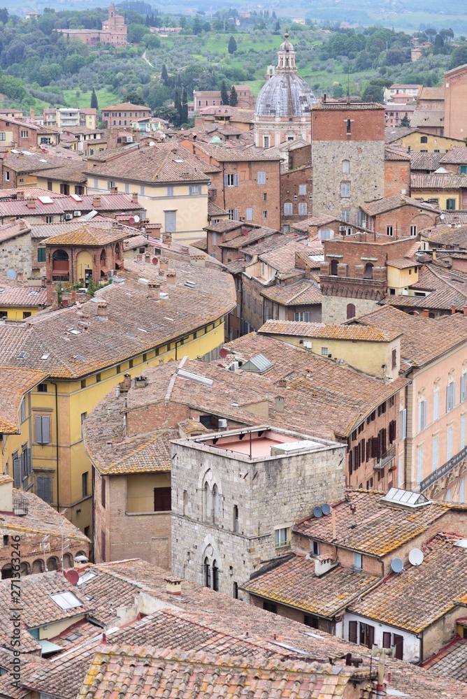 view of florence italy