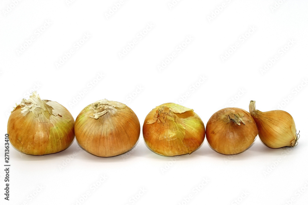 Onion, five pieces, lies in a row in size on a white background Onion, five pieces, lies in a row in size on a white background