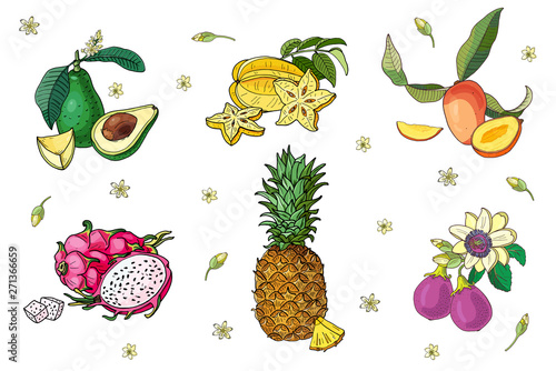 Fototapeta Naklejka Na Ścianę i Meble -  Set of exotic fruits.Avocado,carambola,mango,pitahaya,pineapple,passion fruit.Isolated image on white