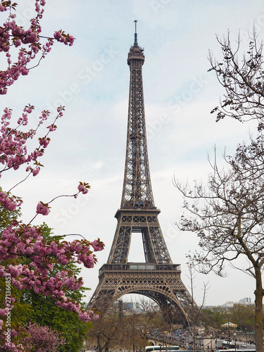 Fototapeta Naklejka Na Ścianę i Meble -  Eiffel Tower of Paris, popular place for tourists