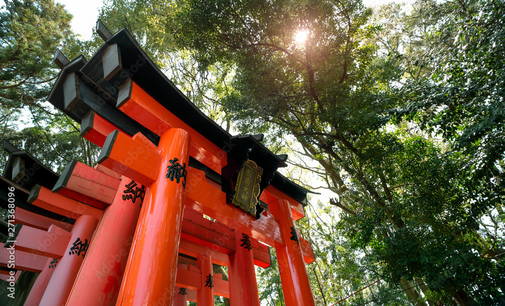 Red Torii gates in Fushimi Inari Taisha Red Torii gates in Fushimi Inari Taisha