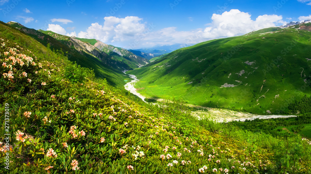 Summer mountains. Mountain landscape on sunny clear day. Grassy mountains valley. Green grass on meadow of hillside. Mountains in Georgia, Svaneti