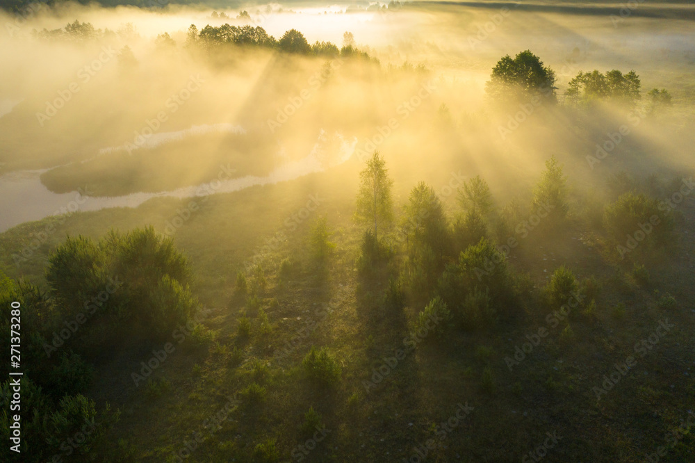 Summer nature in morning sunlight aerial view. Bright sunrise on foggy meadow. Scenery Vibrant sun rays through mist. Drone view of sunny nature