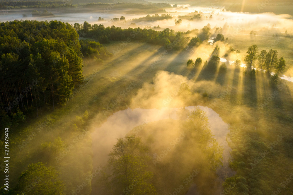 Scenic summer background. Sunbeams on river nature aerial view. Scenery sunny landscape. Amazing bright sunlight over river. Sun rays on green misty meadow - obrazy, fototapety, plakaty 