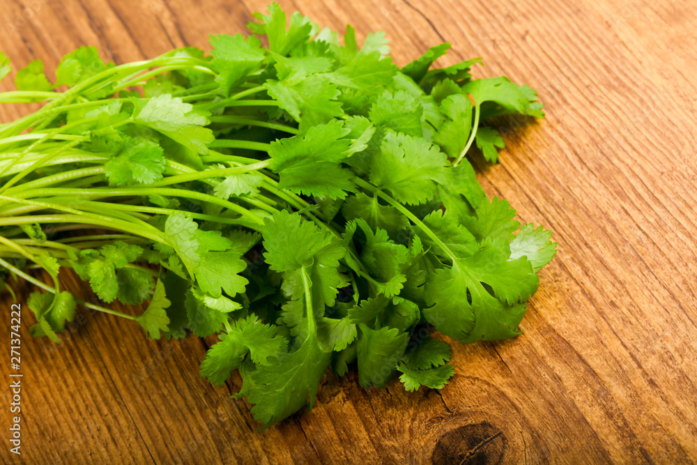 Coriander