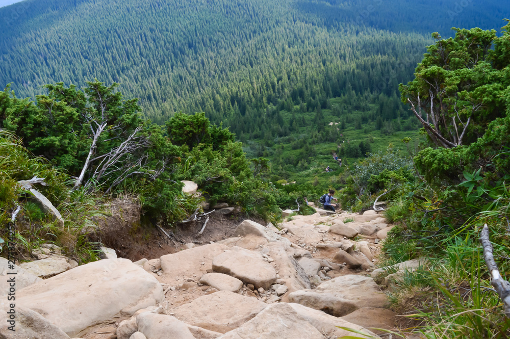 Carpathian mountains, Ukraine: Way to Hoverla, the highest Ukrainian mountain, in cloudy summer day Carpathian mountains, Ukraine: Way to Hoverla, the highest Ukrainian mountain, in cloudy summer day