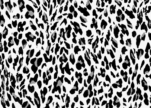 Gray Leopard skin pattern design. Leopard print vector illustration background. Wildlife fur skin design illustration for print  web  home decor  fashion  surface  graphic design