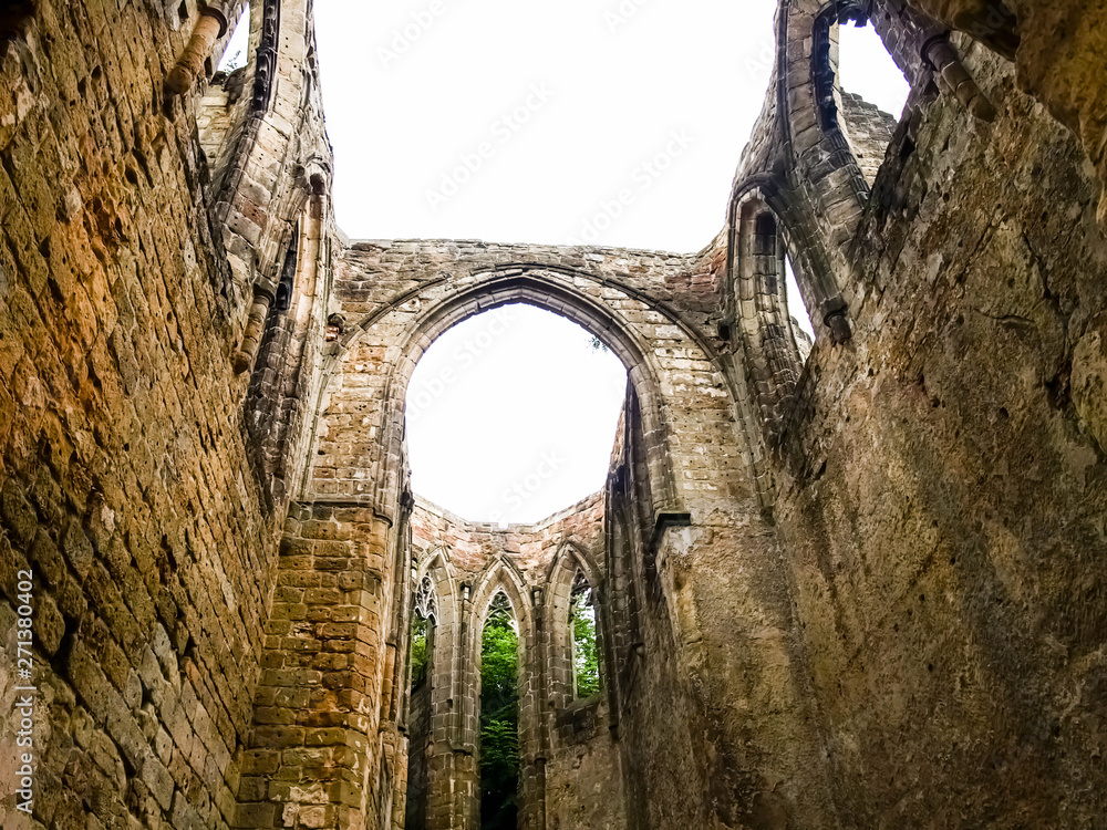 Fototapeta premium OLYMPUS DIGITAL CAMERA