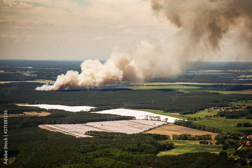 Fototapeta premium Smoke clouds and fire spread of a fire in the trees / forest - aerial view - forest fire 