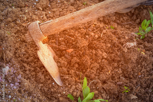 Worker moving soil with hoe in the garden photo