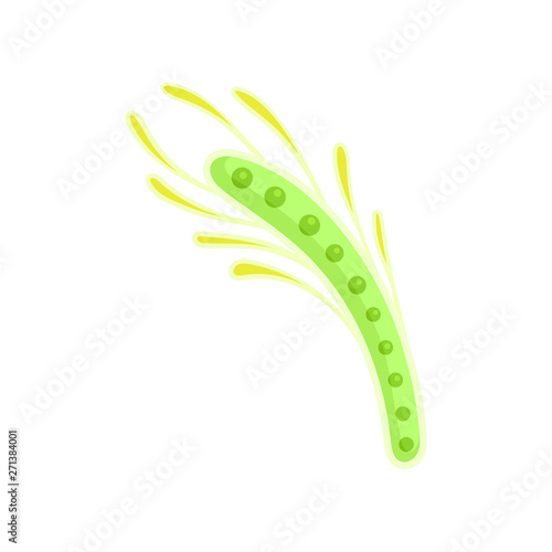 Thin light green plankton with yellow tentacles. Vector illustration