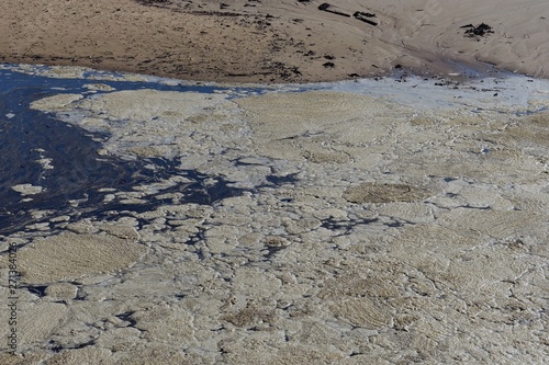 Old stale sea foam on a coastal lagoon water surface