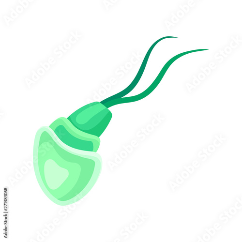Green plankton with a translucent body. Vector illustration on white background.