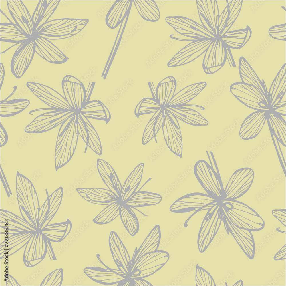 Kafir Lilies flowers. Collection of hand drawn flowers and plants. Botany. Set. Vintage flowers. Black and white illustration in the style of engravings. Seamless pattern.