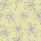 Kafir Lilies flowers. Collection of hand drawn flowers and plants. Botany. Set. Vintage flowers. Black and white illustration in the style of engravings. Seamless pattern.