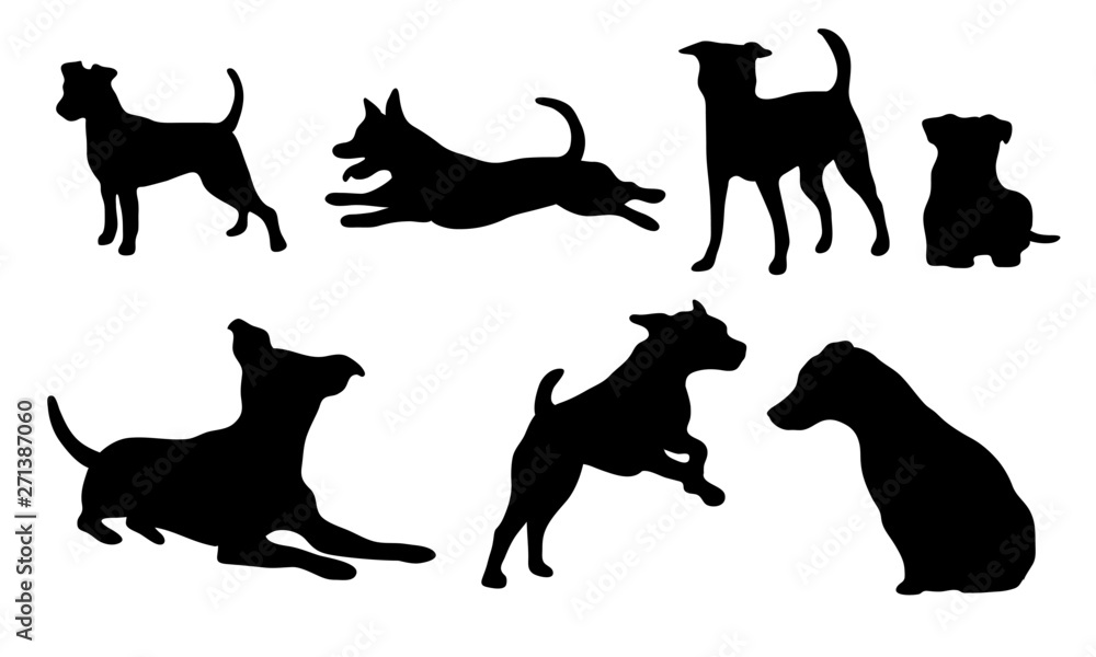 Jack Russel Terrier Icons - obrazy, fototapety, plakaty 