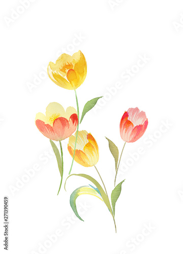 Colorful flower on white background，Mother's Day,wedding,birthday,Easter,Valentine's Day